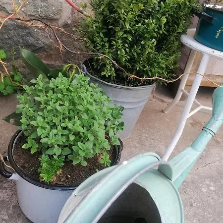 Alloggio in famiglia Tworcze Poddasze Elgnowo